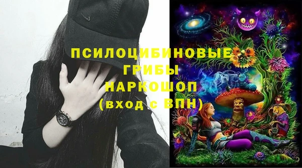 прущий лед Михайловка
