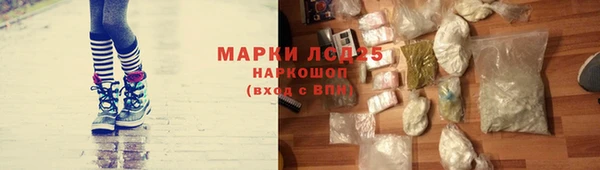 мяу мяу мука Михайловск