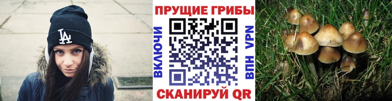 Псилоцибиновые грибы Magic Shrooms  Купить где  Наро-Фоминск 